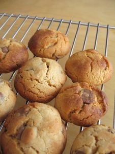 Homemade Cookies Royalty Free Stock Images Homemade Cookies Royalty Free Stock Images