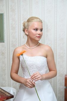 Pretty Bride Stock Image