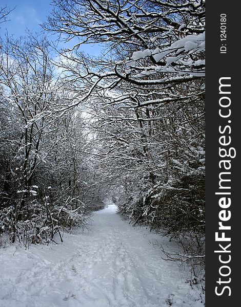 Digital photo of a winter-landscape in germany.