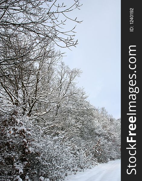 Winter-Landscape