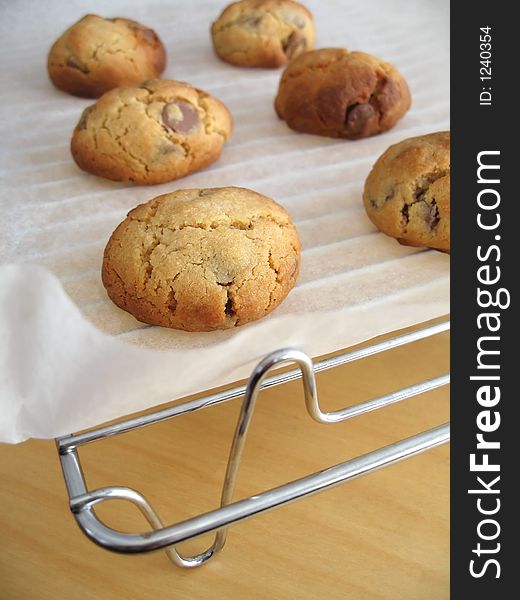 Fresh homemade peanut and chocolate chip cookies cooling on the rack. Fresh homemade peanut and chocolate chip cookies cooling on the rack.