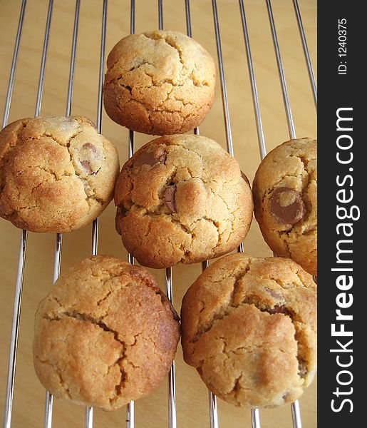 Fresh homemade peanut and chocolate chip cookies cooling on the rack. Fresh homemade peanut and chocolate chip cookies cooling on the rack.