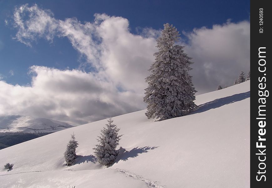 Winter in Ciucas Mountains
