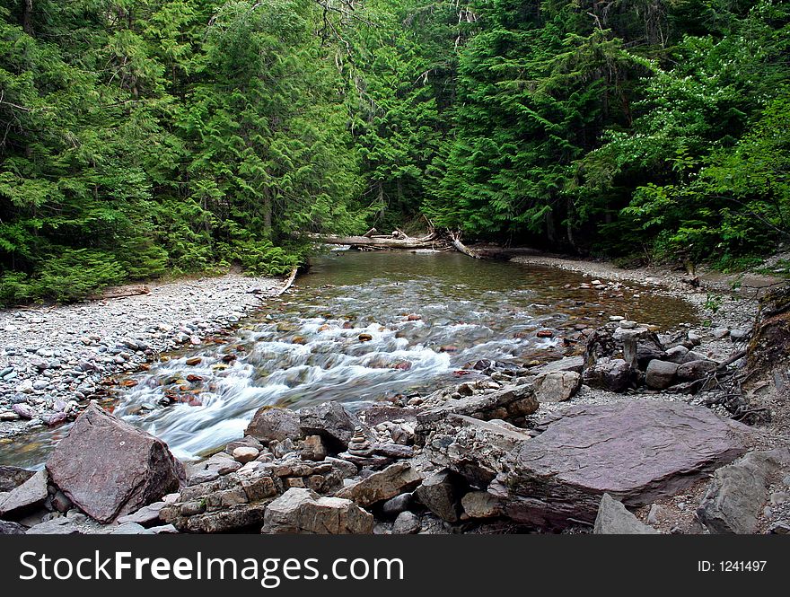 Mountain stream flowing through green forest. Mountain stream flowing through green forest