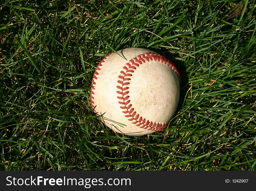 Baseball in grass with sun shining