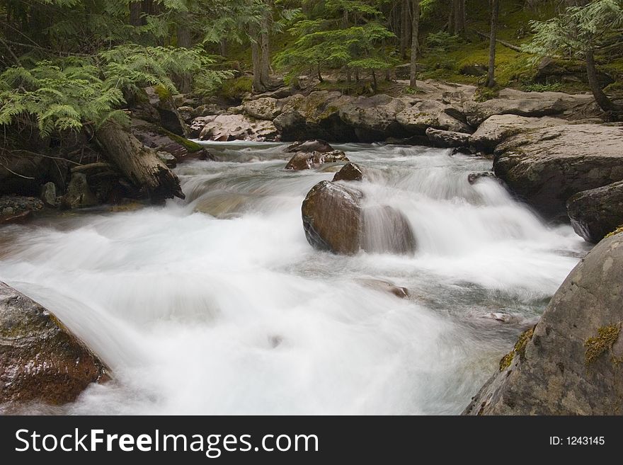 Picture of a tranquil running stream in Glacier National Park, Montana. Picture of a tranquil running stream in Glacier National Park, Montana
