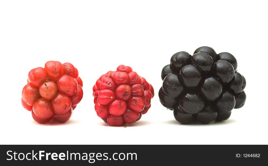 Three raspberries against a white background