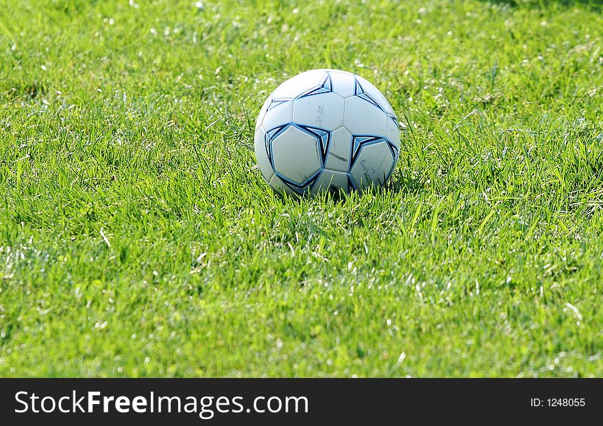 Colorful photo of a soccer ball or football in the green grass