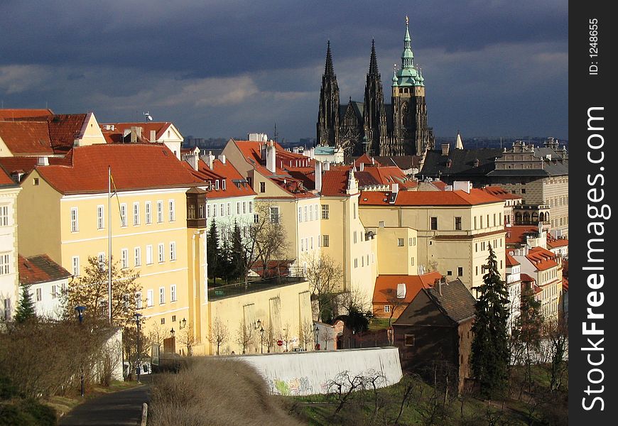 The St. Vitta's cathedral. Prague.