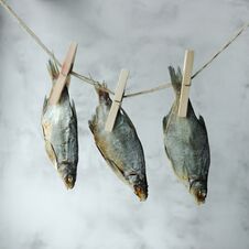Dried Fish On A Rope. Food Concept. Ideal Appetizer For Beer. Rustic Color Style. A Minimalistic Composition With A Royalty Free Stock Photos