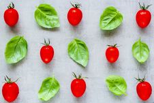Tomatoes And Basil Royalty Free Stock Images