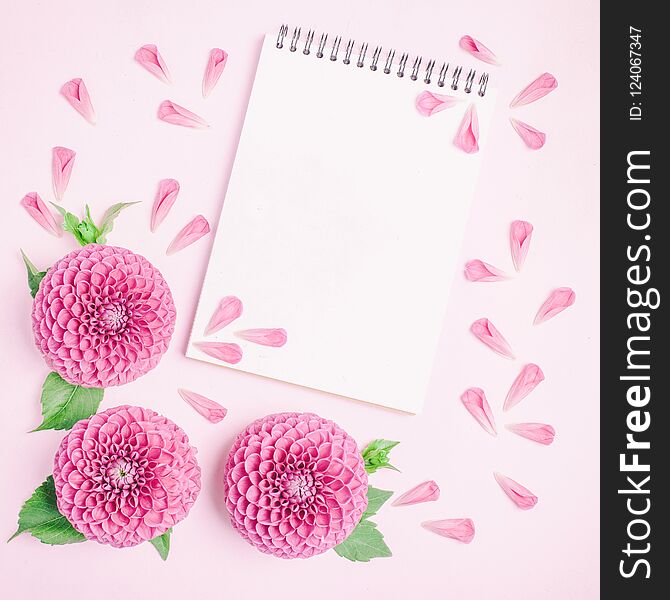 Dahlia ball-barbarry flowers and petals with green leaves and buds - top view on pink delicate summer blooms with notepad as copy space on pastel background. Romantic template for floral design. Dahlia ball-barbarry flowers and petals with green leaves and buds - top view on pink delicate summer blooms with notepad as copy space on pastel background. Romantic template for floral design.
