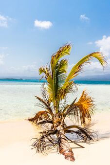 A Typical View In The San Blas Islands Stock Photo A Typical View In The San Blas Islands Stock Photo