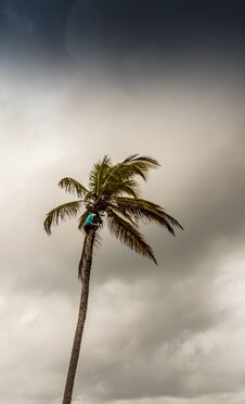 A Typical View In The San Blas Islands Royalty Free Stock Images A Typical View In The San Blas Islands Royalty Free Stock Images