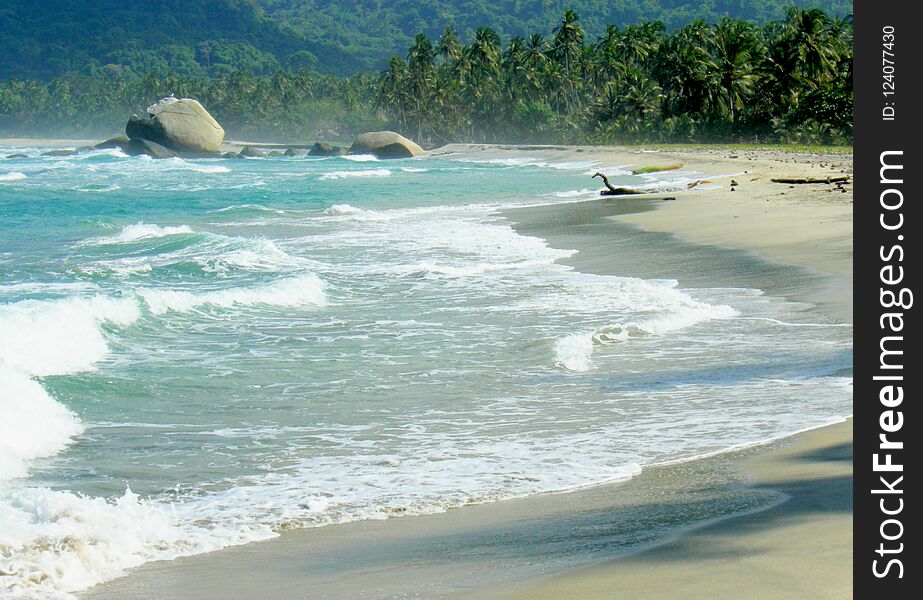 Beach in the National Park of Tayrona in the Magdalena region in the North of Colombia near the city of Santa Marta. Beach in the National Park of Tayrona in the Magdalena region in the North of Colombia near the city of Santa Marta