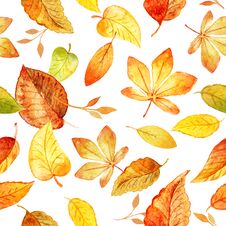 Seamless Pattern With Autumn Leaves Drawing By Watercolor, Hand Drawn Elements. Template For DIY Projects, Wedding Royalty Free Stock Photos