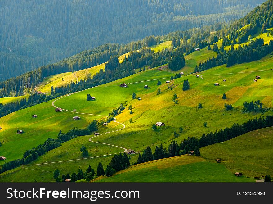 Summer landscape of Switzerland rural country side