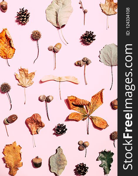 Autumn pattern made of dry leaves on pink background. Top view, autumn card concept.