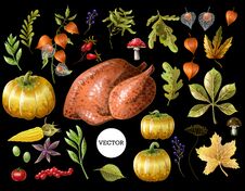 Set Of Thanksgiving Decor And Food, Such As Turkey, Pumpkins, Grapes, Leaves And Other, Isolated. Vector. Stock Photo