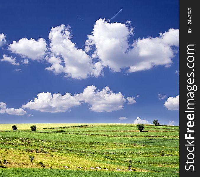 Blue cloudy sky and green field. Blue cloudy sky and green field