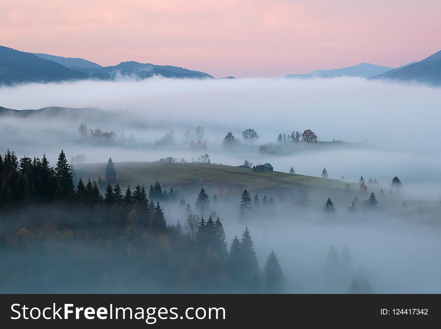 Scenery of the sunrise at the high mountains. Dense fog with beautiful light. A place to relax in the Carpathian Park.