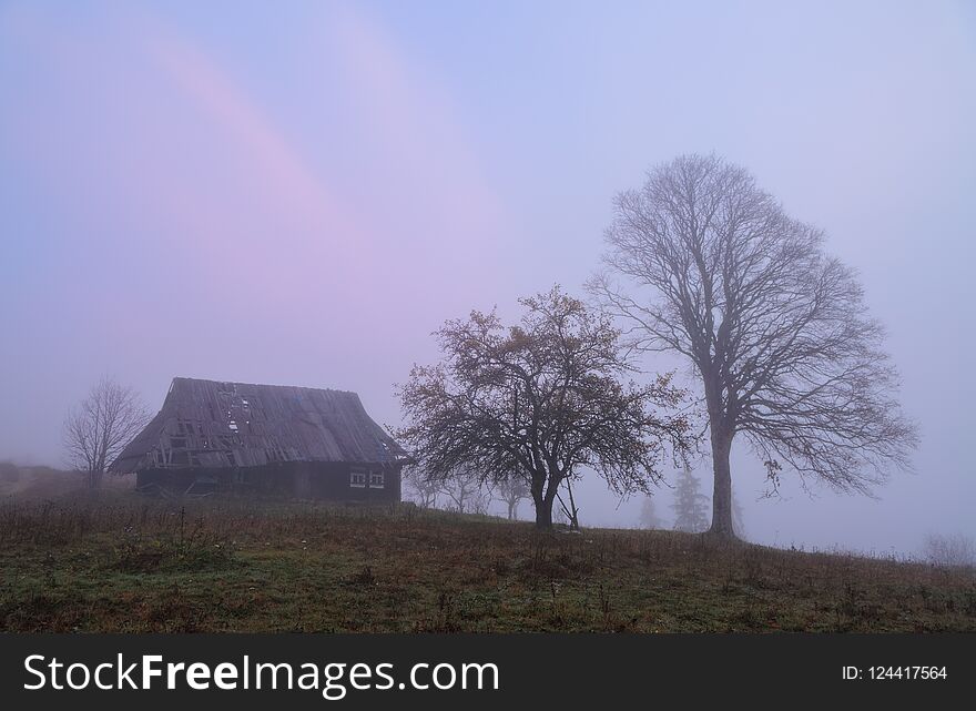 Old hut is on the lawn. The scenery with thick fog, trees, sun. Nice cold autumn morning. The landscape with a stunning sunset.