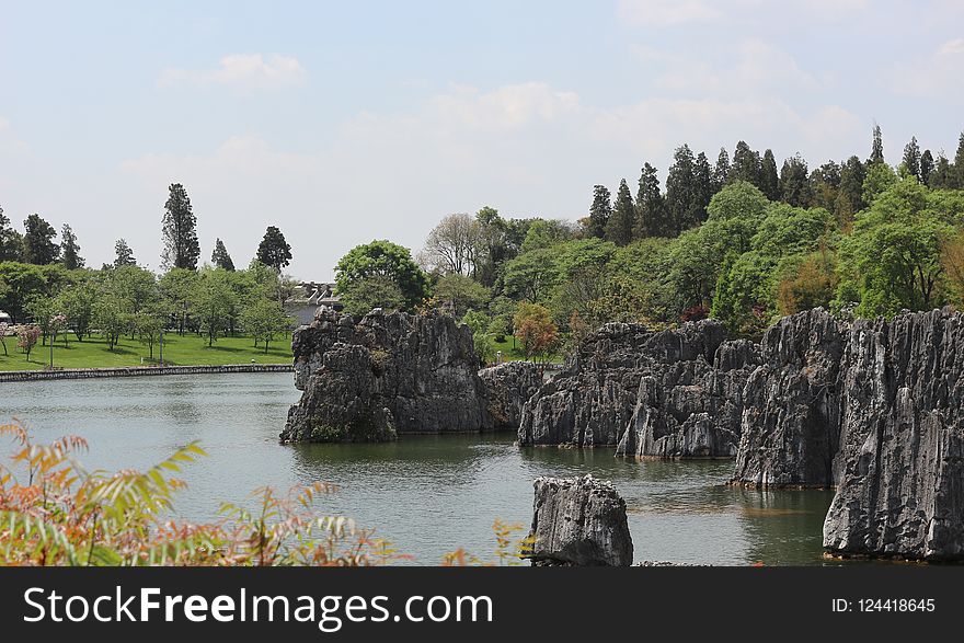 Nature, Nature Reserve, Water, Vegetation