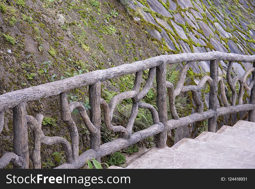 Tree, Fence, Grass, Plant