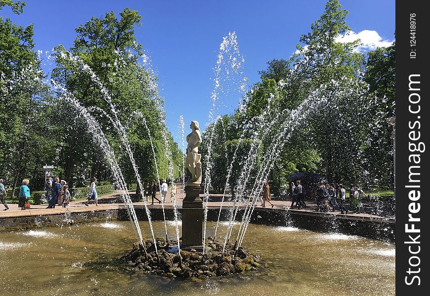 Water, Plant, Tree, Fountain