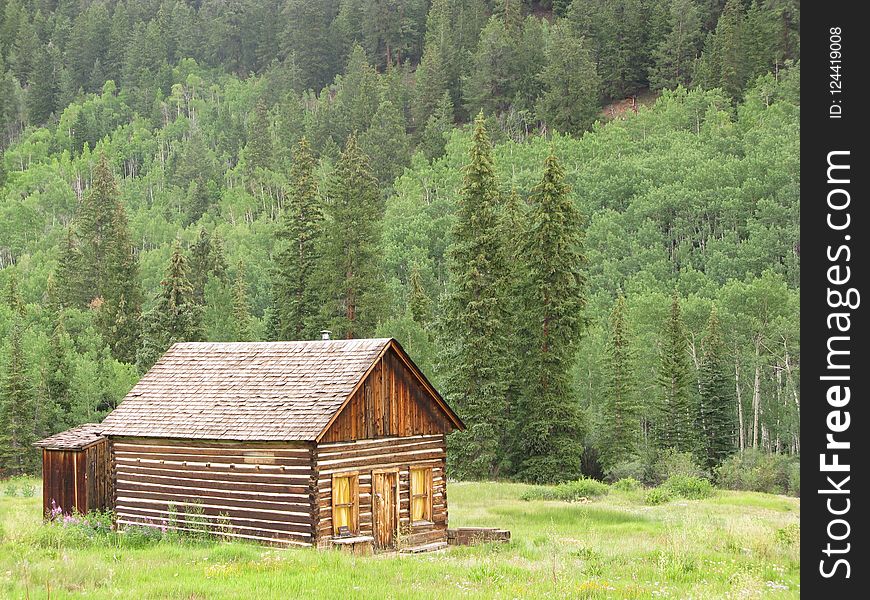 Ecosystem, Log Cabin, Property, Hut