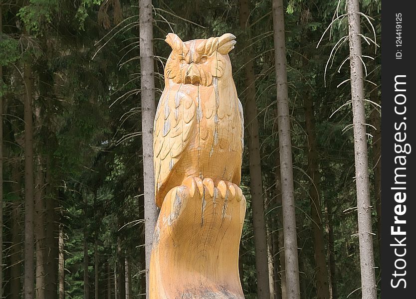 Sculpture, Carving, Chainsaw Carving, Tree