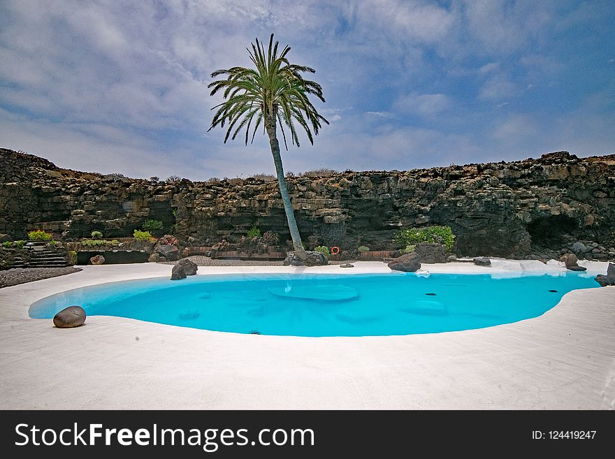 Swimming Pool, Property, Resort, Palm Tree