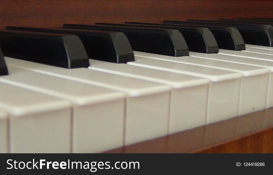 Piano, Musical Instrument, Keyboard, Digital Piano