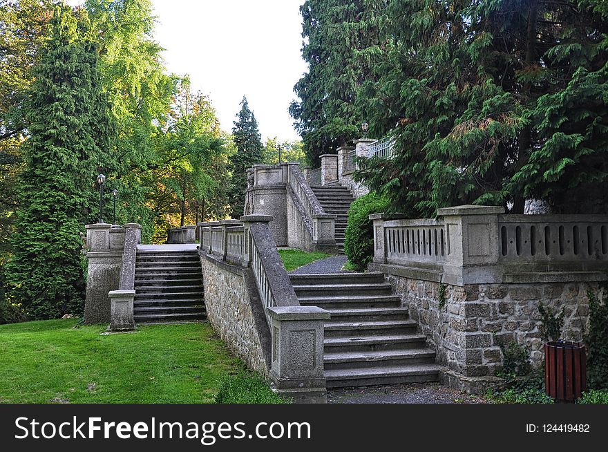 Wall, Tree, Garden, Grass