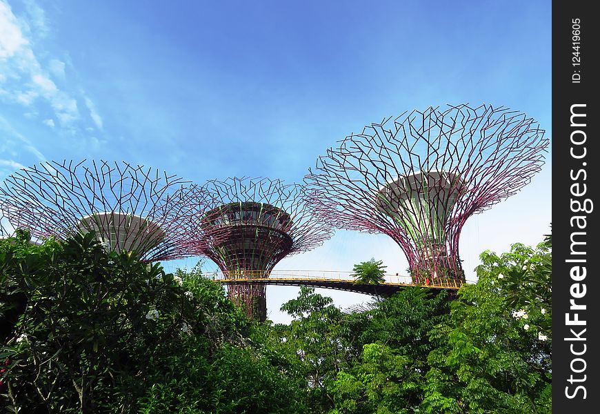 Sky, Nature, Tree, Landmark