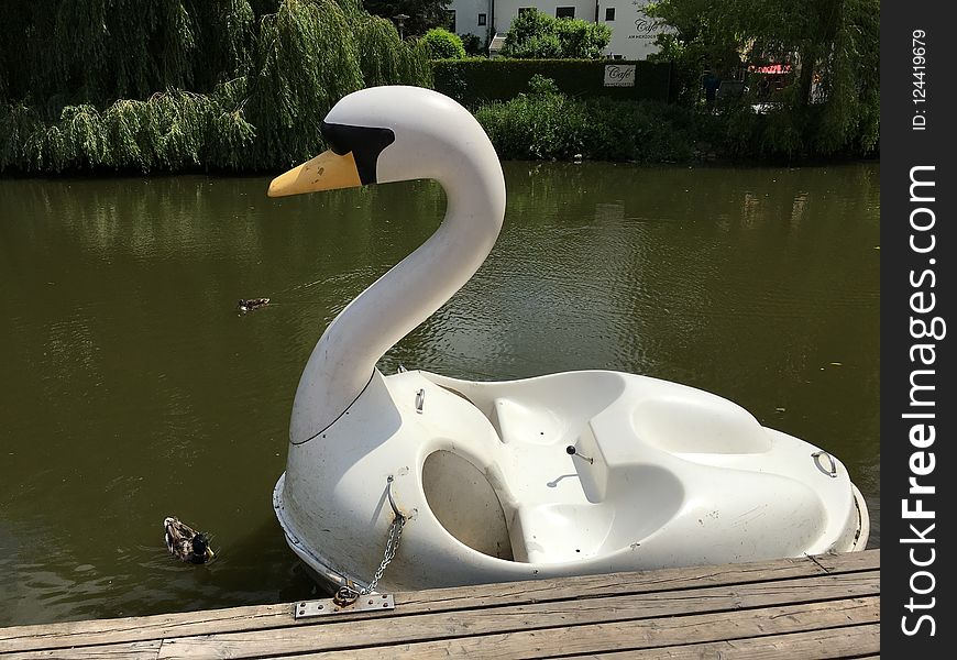 Swan Boat, Water, Water Bird, Swan