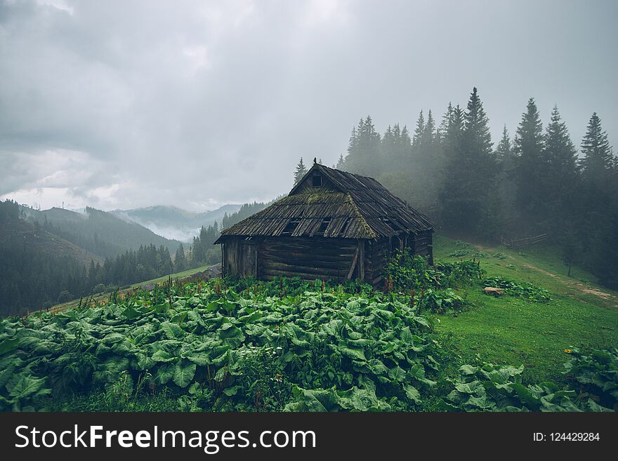 Forest shelter house in the mountains in the fog, cowshed or she