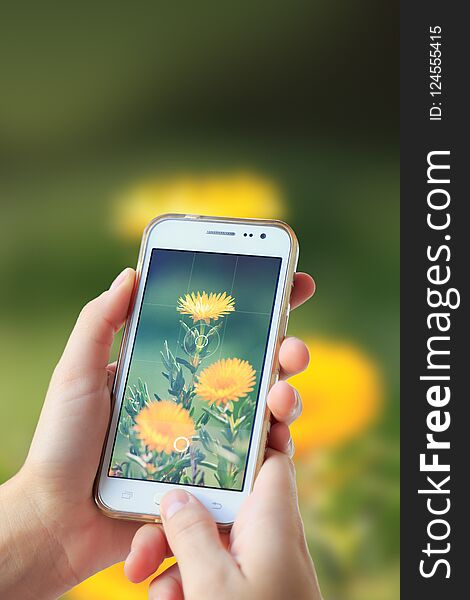 Woman photographing a flower with her cell phone.