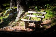 A Bench In The Woods Royalty Free Stock Photography