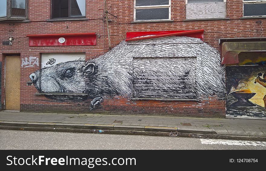 Street Art, Art, Graffiti, Snout