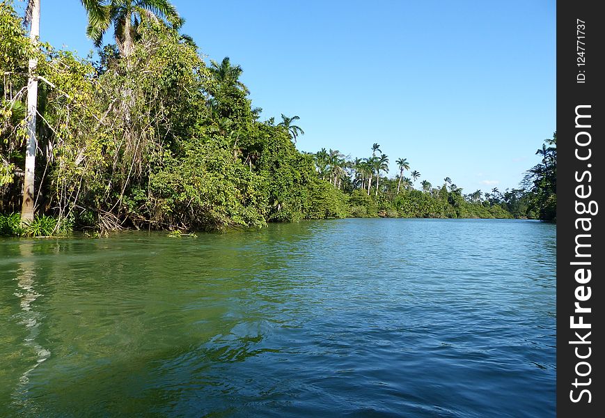 Water, Vegetation, River, Water Resources