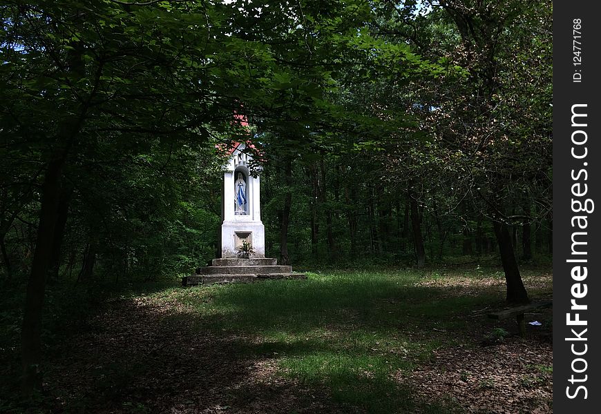 Tree, Woodland, Path, Monument