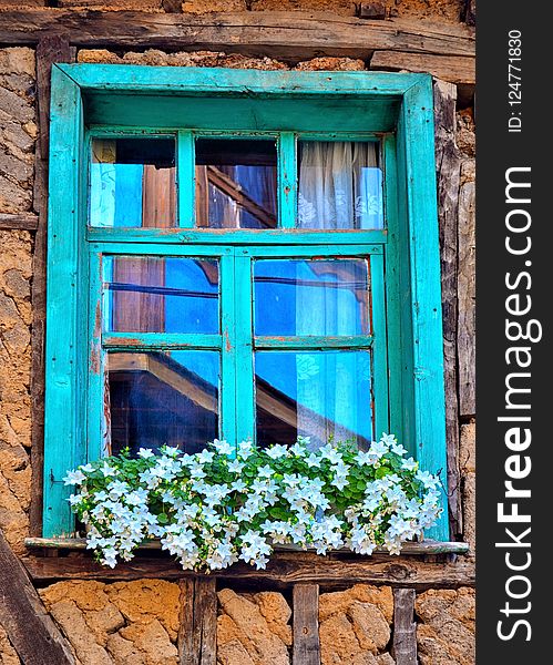 Blue, Green, Window, Flower