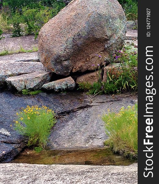 Rock, Boulder, Vegetation, Bedrock