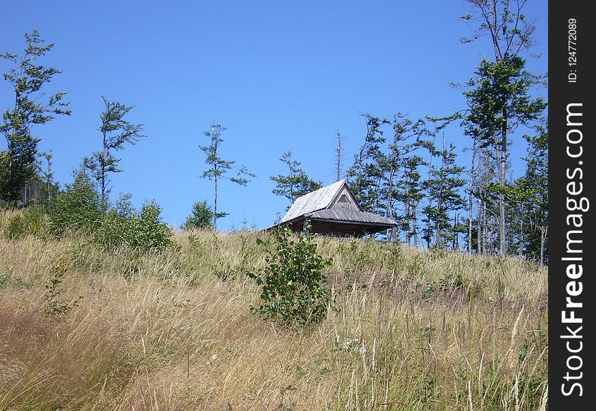 Ecosystem, Sky, Nature Reserve, Wilderness