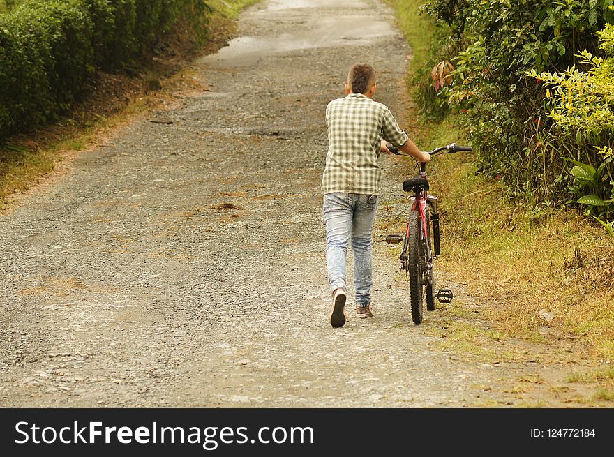 Land Vehicle, Path, Bicycle, Road