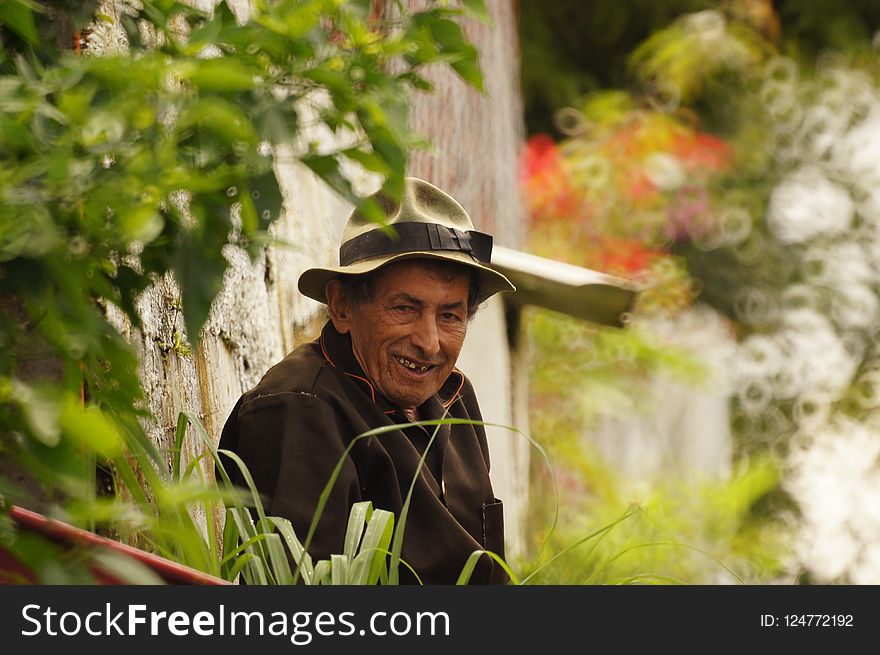 Plant, Tree, Leaf, Grass