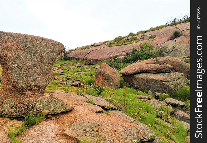 Rock, Vegetation, Nature Reserve, Bedrock