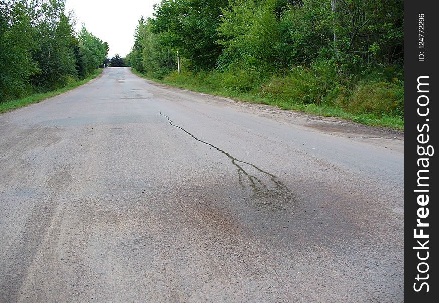 Road, Asphalt, Lane, Path