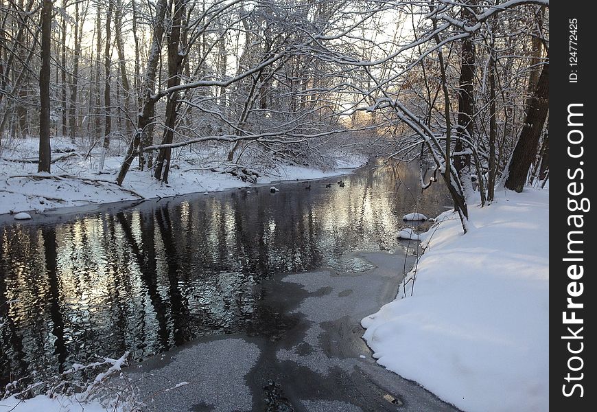 Snow, Water, Reflection, Winter